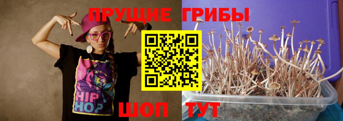 Псилоцибиновые грибы MAGIC MUSHROOMS  Псилоцибиновые грибы мухоморы  Чита  Вход с VPN 